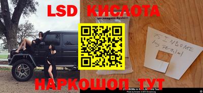индика Заволжье