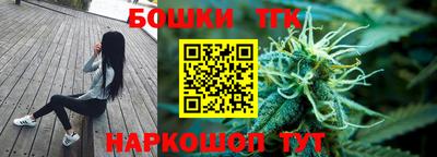 индика Заволжье