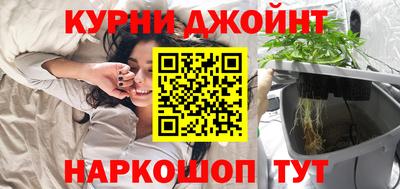 индика Заволжье