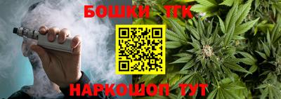 индика Заволжье