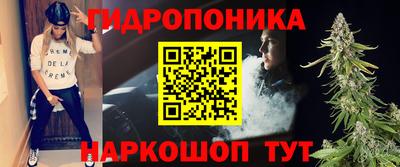 индика Заволжье