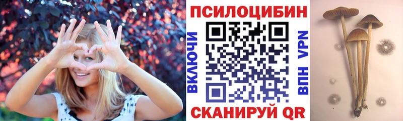 Галлюциногенные грибы Psilocybine cubensis Печора