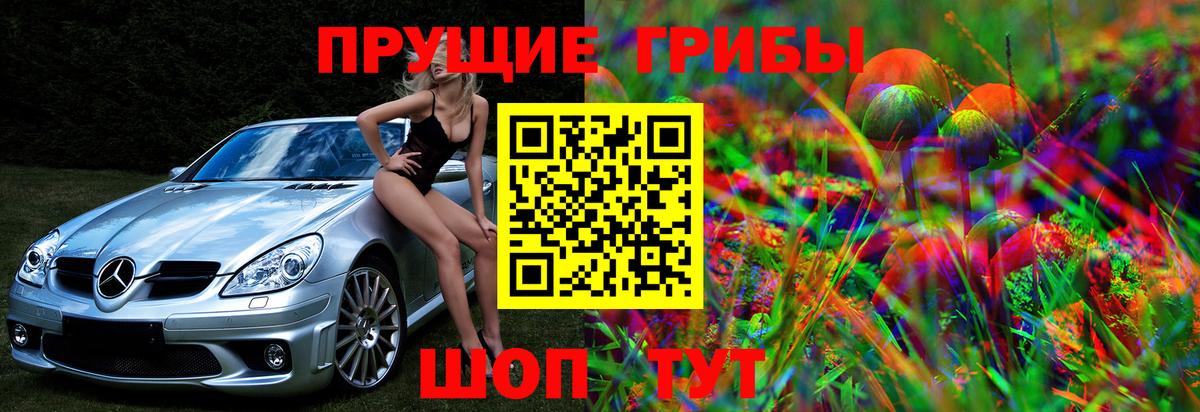 Галлюциногенные грибы Cubensis Печора
